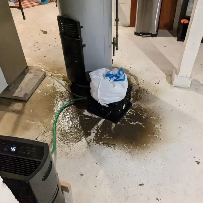Sewage Backup Cleanup Service in Duncannon, PA